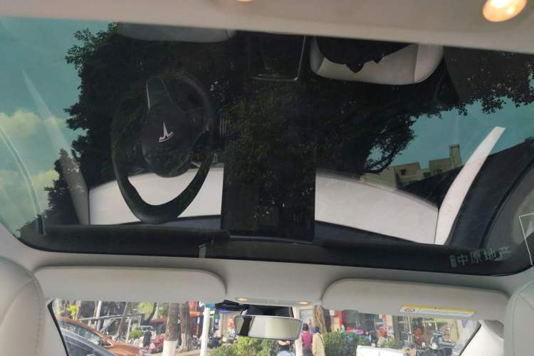 Used Tesla Model 3 2021 Performance High-Performance All-Wheel-Drive Version 3D6 Headliner