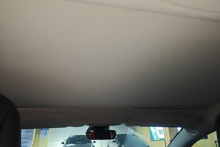 Used Tesla Model 3 2021 Standard Range Rear-Drive Upgraded Version Headliner