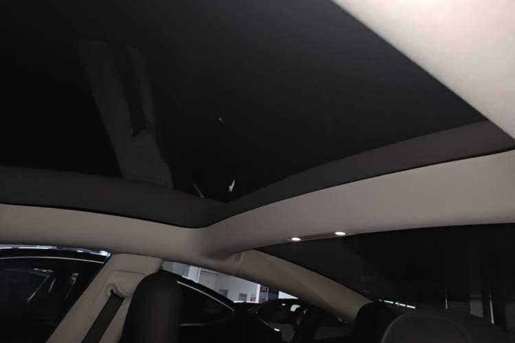 Used Tesla Model 3 2021 Standard Range Rear-Wheel Drive Upgraded Version 3D6 Headliner
