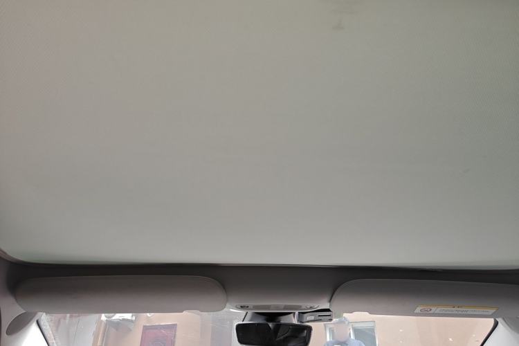 Used Tesla Model 3 2021 Standard Range Rear-Drive Upgraded Version Headliner