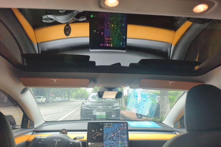 Used Tesla Model 3 2021 Performance High-Performance All-Wheel-Drive Version Headliner