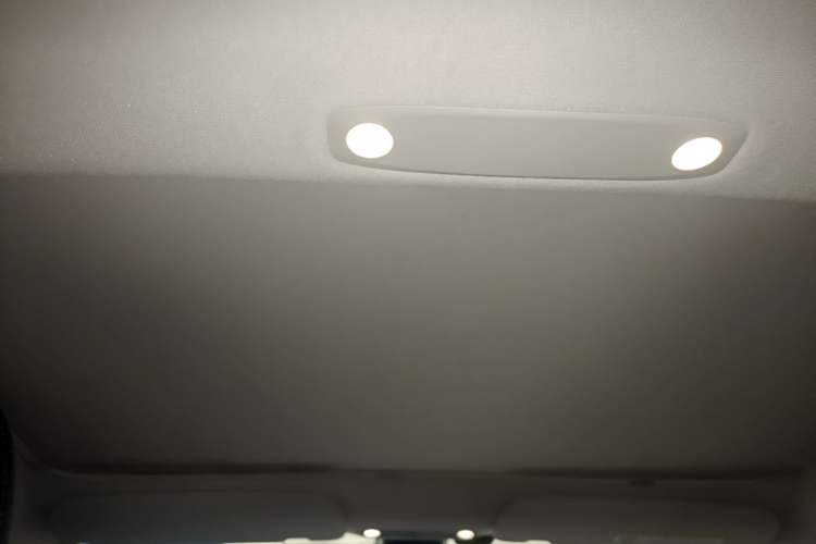 Used Tesla Model 3 2021 Standard Range Rear-Wheel Drive Upgraded Version 3D6 Headliner