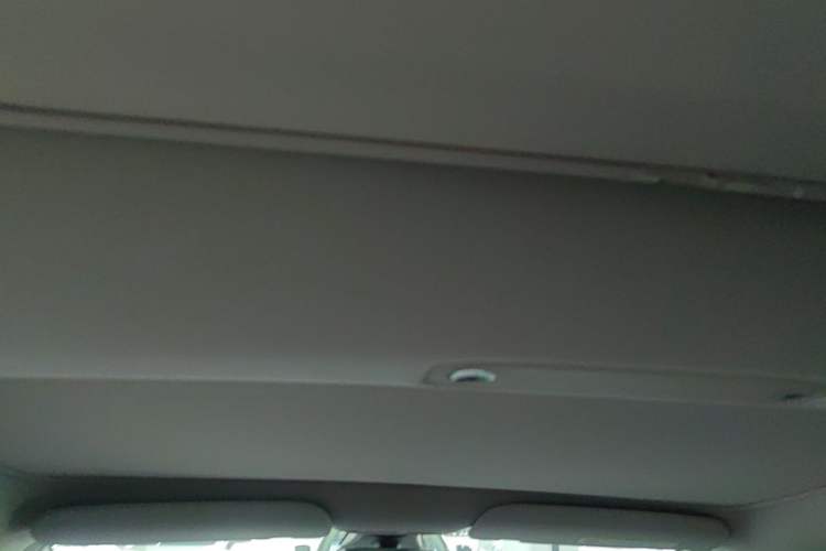 Used Tesla Model 3 2021 Standard Range Rear-Drive Upgraded Version Headliner
