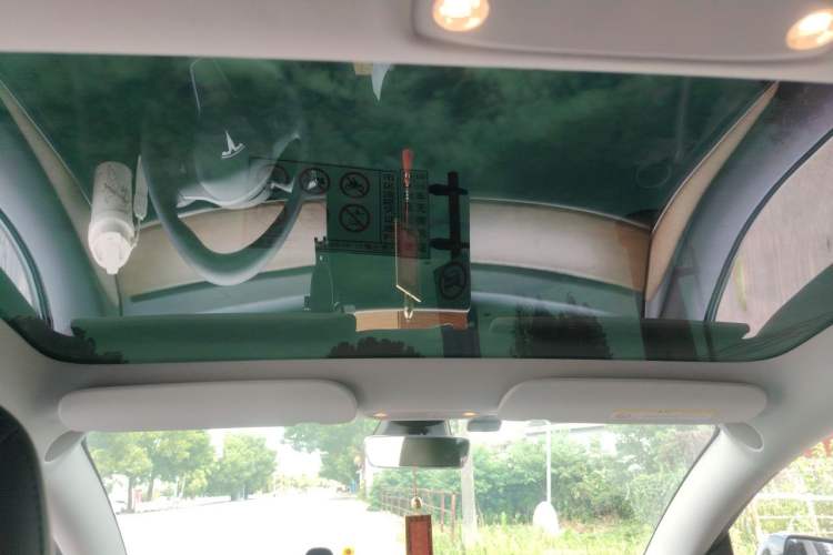 Used Tesla Model 3 2021 Standard Range Rear-Drive Upgraded Version Headliner