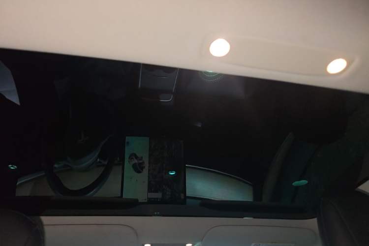 Used Tesla Model 3 2021 Standard Range Rear-Wheel Drive Upgraded Version 3D6 Headliner