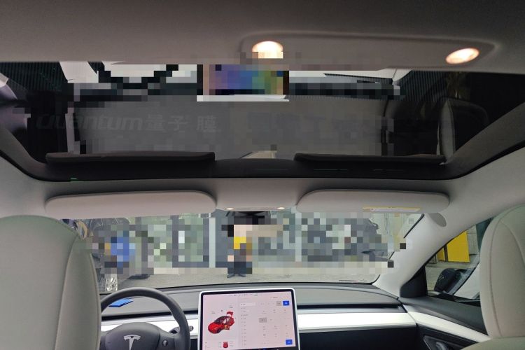 Used Tesla Model 3 2021 Performance High-Performance All-Wheel-Drive Version Headliner
