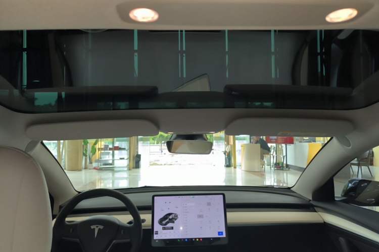 Used Tesla Model 3 2021 Standard Range Rear-Wheel Drive Upgraded Version 3D6 Headliner