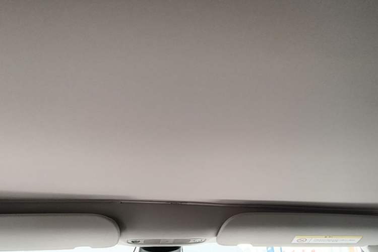 Used Tesla Model 3 2021 Standard Range Rear-Drive Upgraded Version Headliner