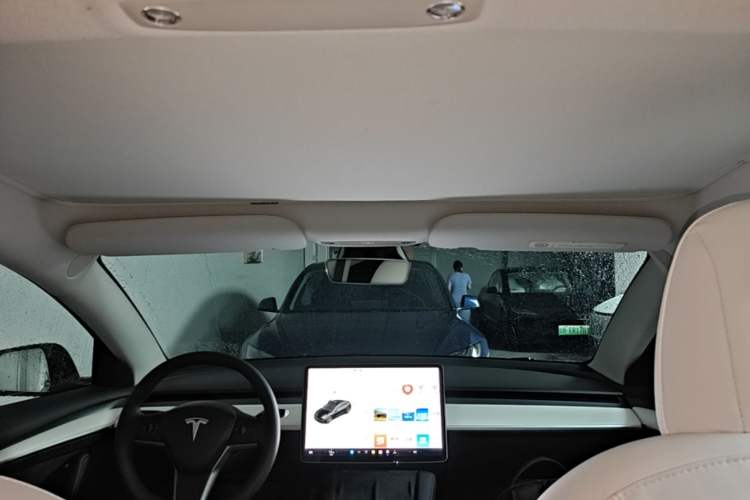 Used Tesla Model 3 2021 Performance High-Performance All-Wheel-Drive Version 3D6 Headliner