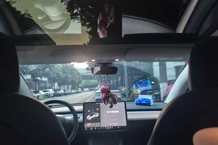 Used Tesla Model 3 2021 Revised Version Standard Range Rear-Wheel Drive Upgraded Edition 3D1 Headliner