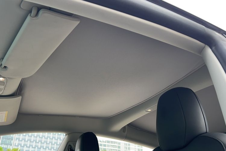 Used Tesla Model 3 2021 Performance High-Performance All-Wheel-Drive Version Headliner