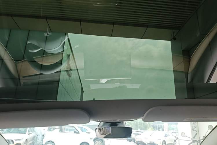 Used Tesla Model 3 2021 Revised Version II – Performance High-Performance All-Wheel-Drive Edition Headliner