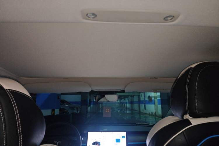 Used Tesla Model 3 2021 Revised Version Standard Range Rear-Wheel Drive Upgraded Edition 3D1 Headliner