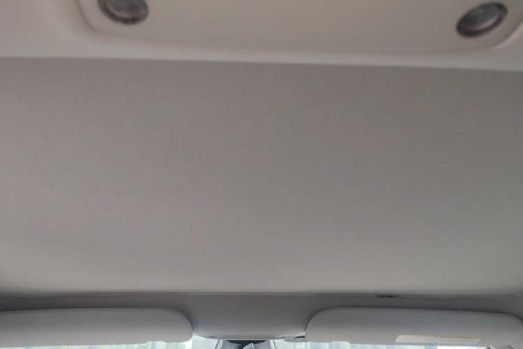 Used Tesla Model 3 2021 Standard Range Rear-Wheel Drive Upgraded Version 3D6 Headliner