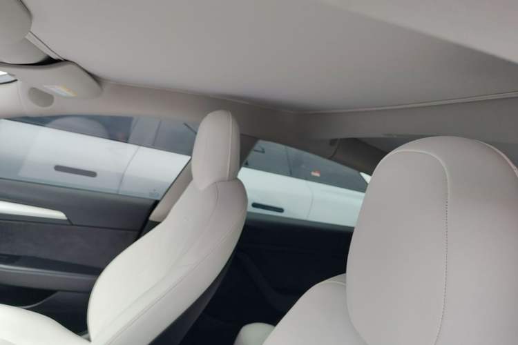 Used Tesla Model 3 2021 Standard Range Rear-Wheel Drive Upgraded Version 3D6 Headliner