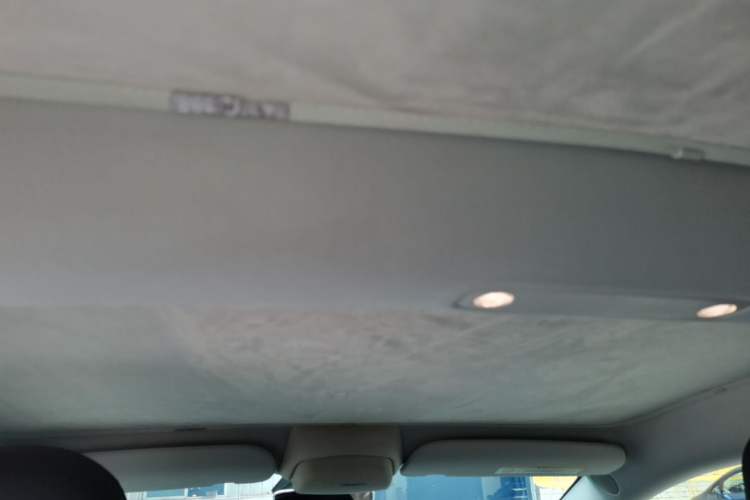 Used Tesla Model 3 2021 Standard Range Rear-Wheel Drive Upgraded Version 3D6 Headliner