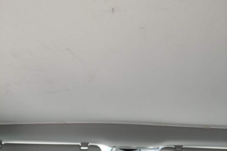 Used Tesla Model 3 2021 Standard Range Rear-Drive Upgraded Version Headliner