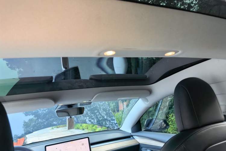 Used Tesla Model 3 2021 Standard Range Rear-Wheel Drive Upgraded Version 3D6 Headliner