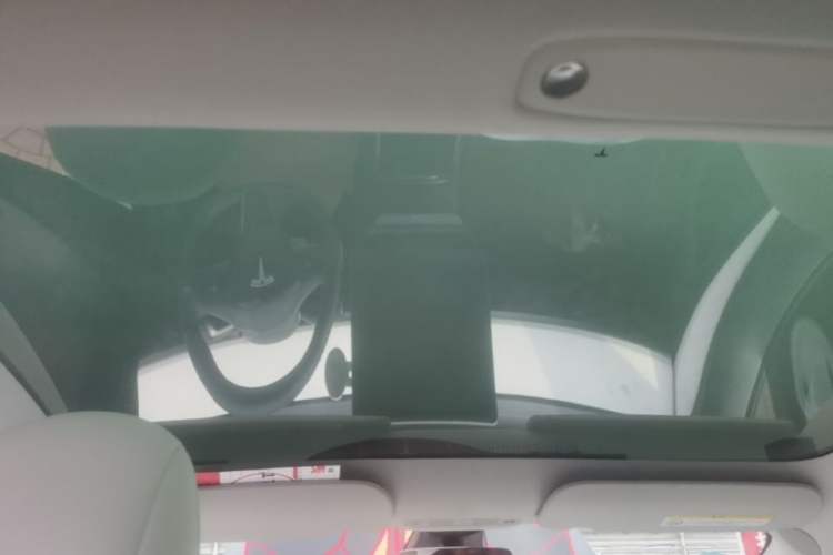 Used Tesla Model 3 2021 Performance High-Performance All-Wheel-Drive Version 3D6 Headliner