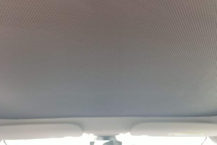 Used Tesla Model 3 2021 Standard Range Rear-Wheel Drive Upgraded Version 3D6 Headliner
