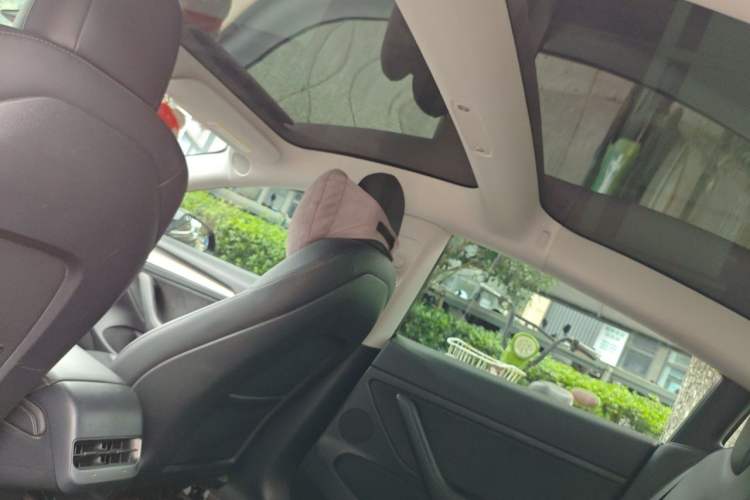 Used Tesla Model 3 2021 Revised Performance Version with All-Wheel Drive 3D1 Headliner