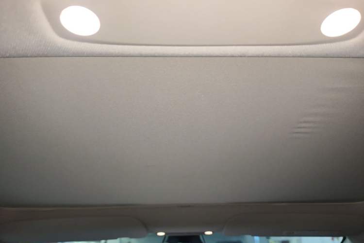 Used Tesla Model 3 2021 Revised Version II – Performance High-Performance All-Wheel-Drive Edition Headliner