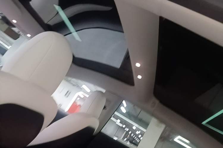 Used Tesla Model 3 2021 Revised Version II – Performance High-Performance All-Wheel-Drive Edition Headliner