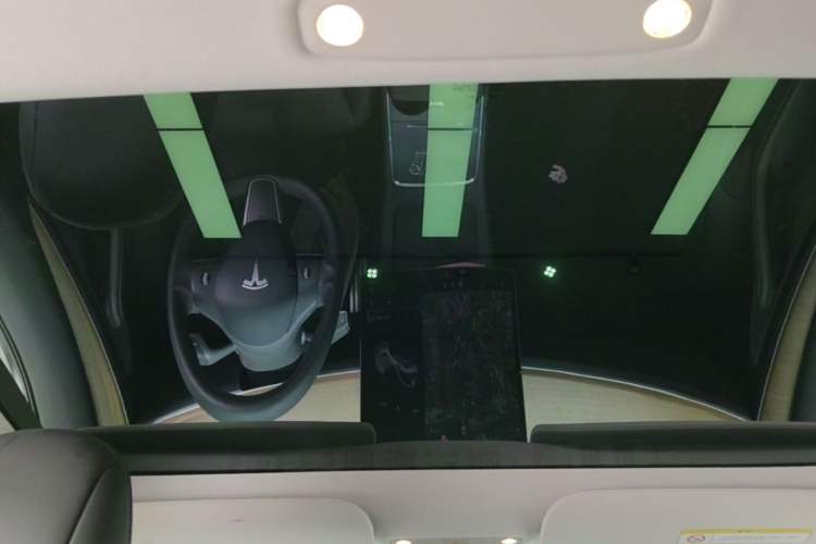 Used Tesla Model 3 2021 Performance High-Performance All-Wheel-Drive Version Headliner