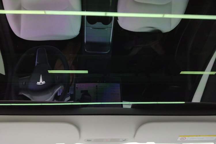 Used Tesla Model 3 2021 Performance High-Performance All-Wheel-Drive Version 3D6 Headliner