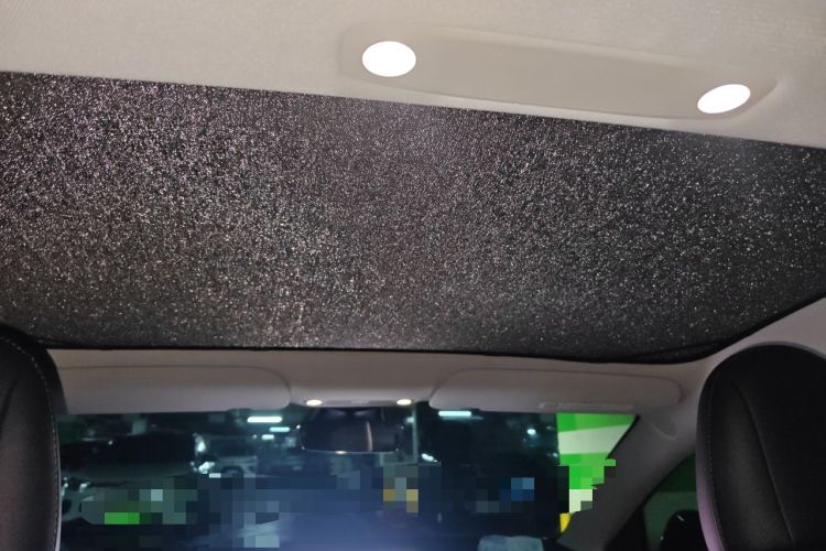 Used Tesla Model 3 2021 Standard Range Rear-Drive Upgraded Version Headliner
