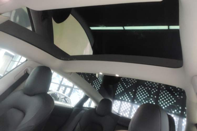 Used Tesla Model 3 2021 Standard Range Rear-Wheel Drive Upgraded Version 3D6 Headliner