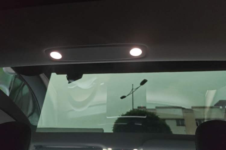 Used Tesla Model 3 2021 Standard Range Rear-Drive Upgraded Version Headliner