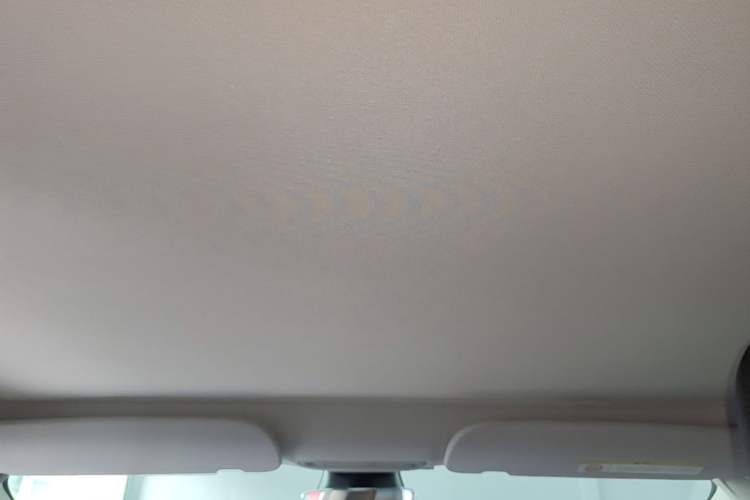 Used Tesla Model 3 2021 Standard Range Rear-Wheel Drive Upgraded Version 3D6 Headliner