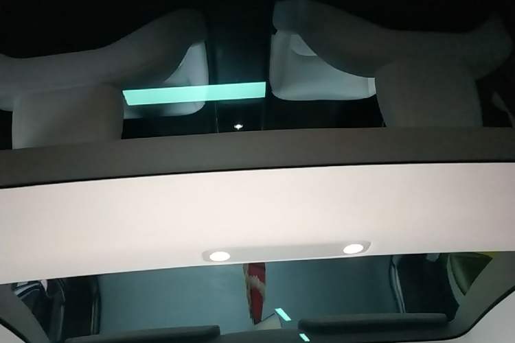 Used Tesla Model 3 2021 Performance High-Performance All-Wheel-Drive Version Headliner