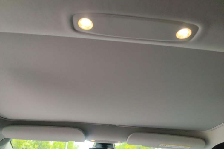 Used Tesla Model 3 2021 Standard Range Rear-Wheel Drive Upgraded Version 3D6 Headliner