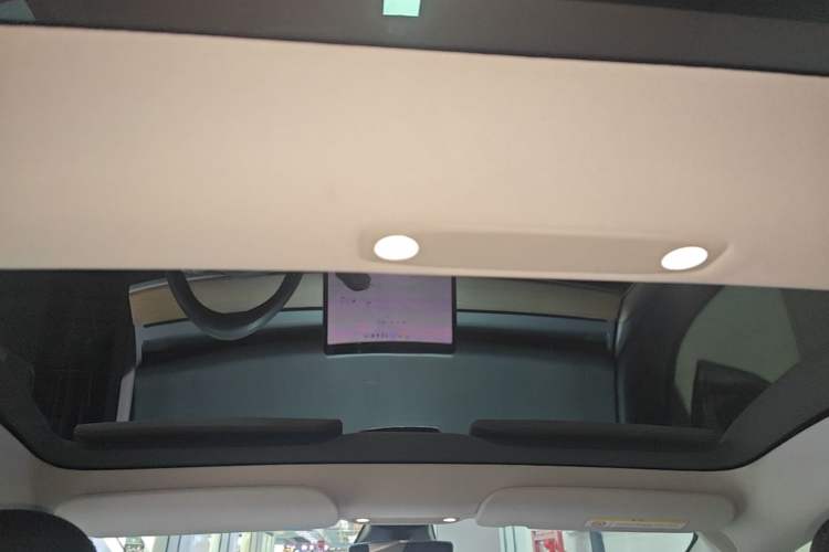 Used Tesla Model 3 2021 Standard Range Rear-Drive Upgraded Version Headliner