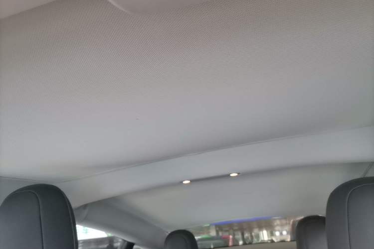 Used Tesla Model 3 2021 Standard Range Rear-Drive Upgraded Version Headliner