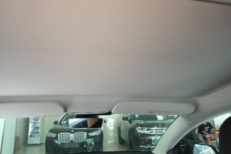 Used Tesla Model 3 2021 Revised Version Standard Range Rear-Wheel Drive Upgraded Edition 3D1 Headliner