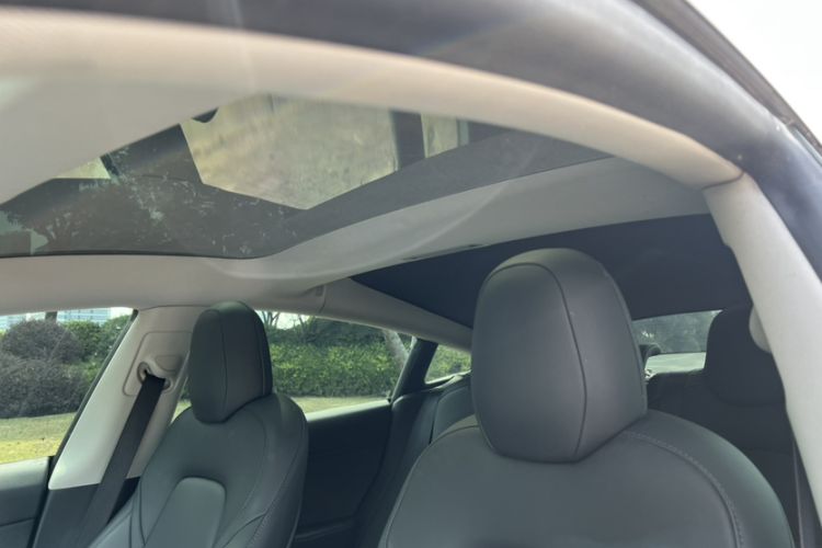 Used Tesla Model 3 2021 Standard Range Rear-Wheel Drive Upgraded Version 3D6 Headliner