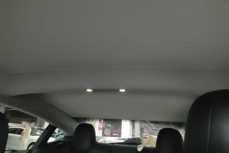 Used Tesla Model 3 2021 Standard Range Rear-Wheel Drive Upgraded Version 3D6 Headliner