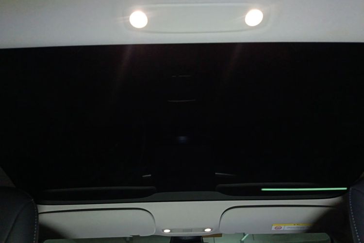 Used Tesla Model 3 2021 Standard Range Rear-Wheel Drive Upgraded Version 3D6 Headliner