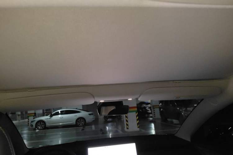 Used Tesla Model 3 2021 Standard Range Rear-Drive Upgraded Version Headliner