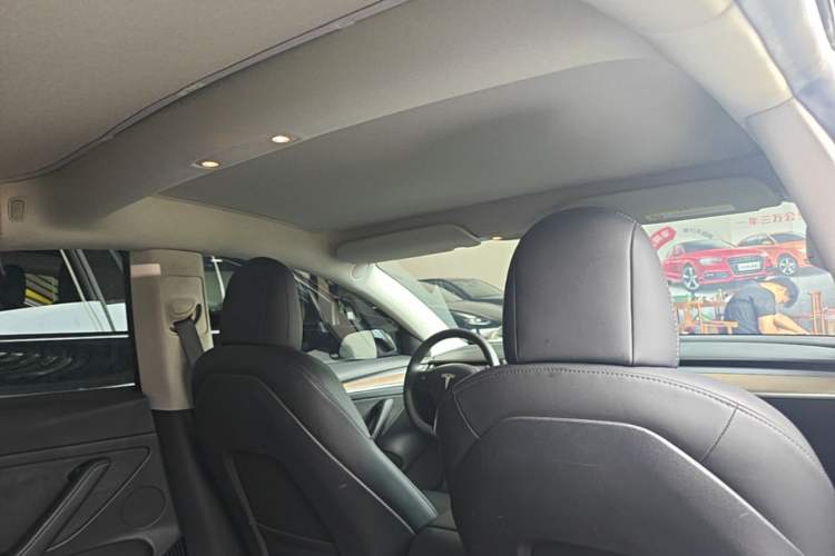 Used Tesla Model 3 2021 Standard Range Rear-Wheel Drive Upgraded Version 3D6 Headliner