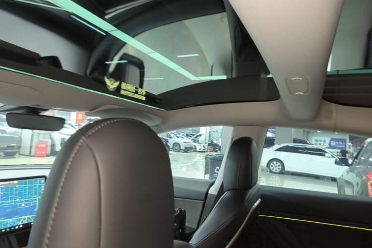 Used Tesla Model 3 2021 Revised Version Standard Range Rear-Wheel Drive Upgraded Edition 3D1 Headliner