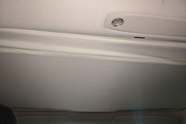 Used Tesla Model 3 2021 Standard Range Rear-Wheel Drive Upgraded Version 3D6 Headliner