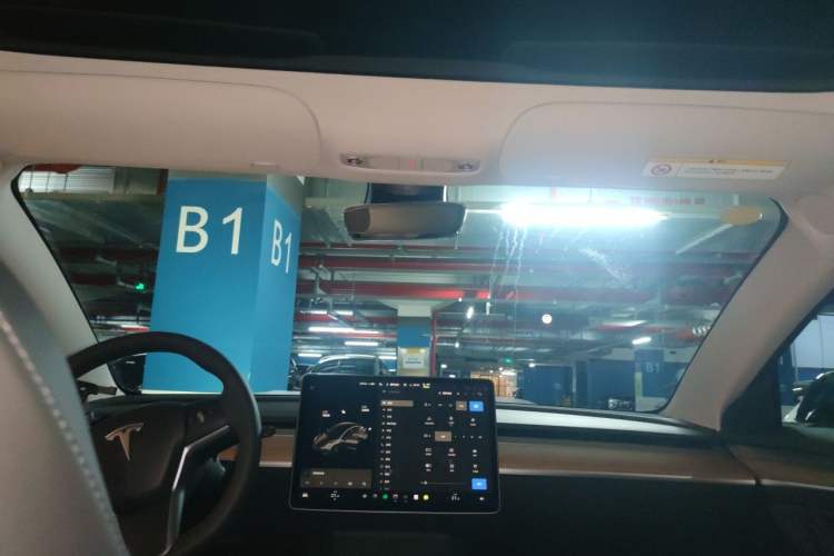 Used Tesla Model 3 2021 Standard Range Rear-Drive Upgraded Version Headliner