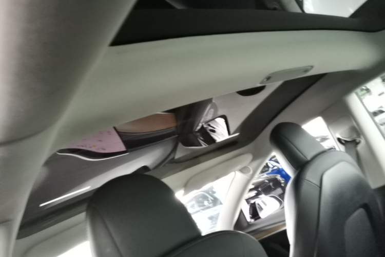 Used Tesla Model 3 2021 Standard Range Rear-Drive Upgraded Version Headliner