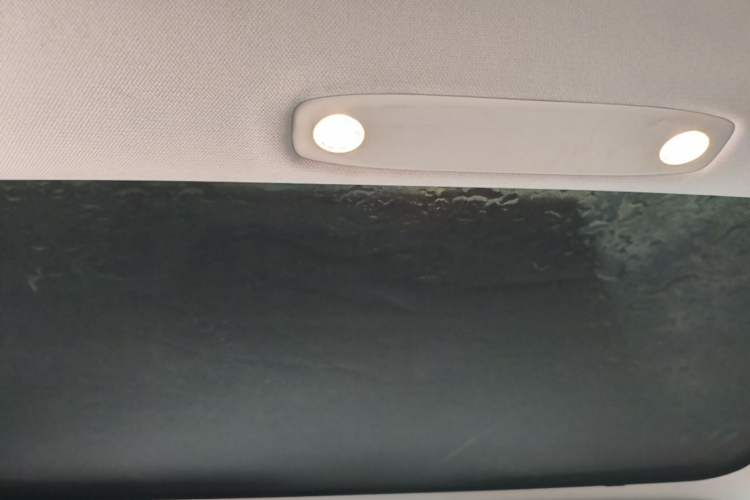 Used Tesla Model 3 2021 Standard Range Rear-Drive Upgraded Version Headliner