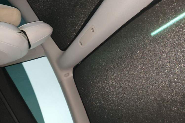 Used Tesla Model 3 2021 Revised Version II – Performance High-Performance All-Wheel-Drive Edition Headliner