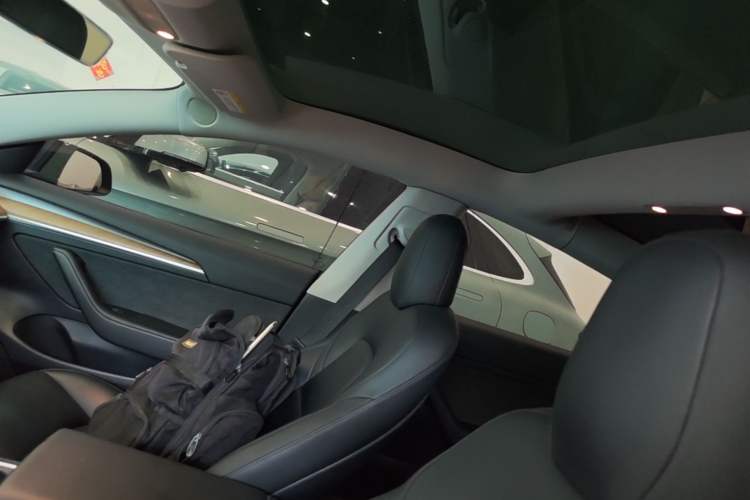 Used Tesla Model 3 2021 Standard Range Rear-Drive Upgraded Version Headliner